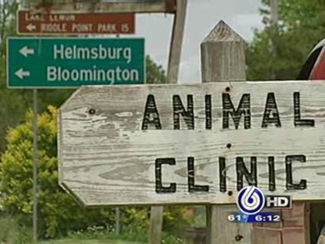 rural veterinarian could lose license theindychannel com