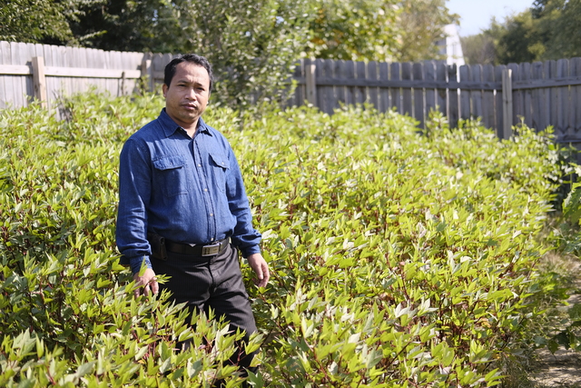 Largest refugee groups entering the U.S. are Christians, not Syrian Muslims