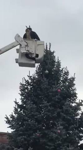 the knightstown town council determined it would not win a lawsuit by the aclu over the cross on top of the town christmas tree so they took it down - Cross Christmas Tree the knightstown town council determined it would not win a lawsuit by the aclu over the cross on top of the town christmas tree so they took it down - Cross Christmas Tree