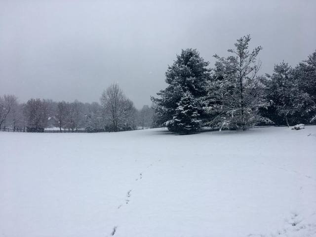 National Weather Service warns of freezing rain, sleet, snow National Weather Service warns of freezing rain, sleet, snow