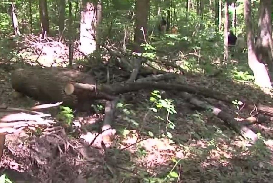 'Purple Paint Law' goes into effect July 1